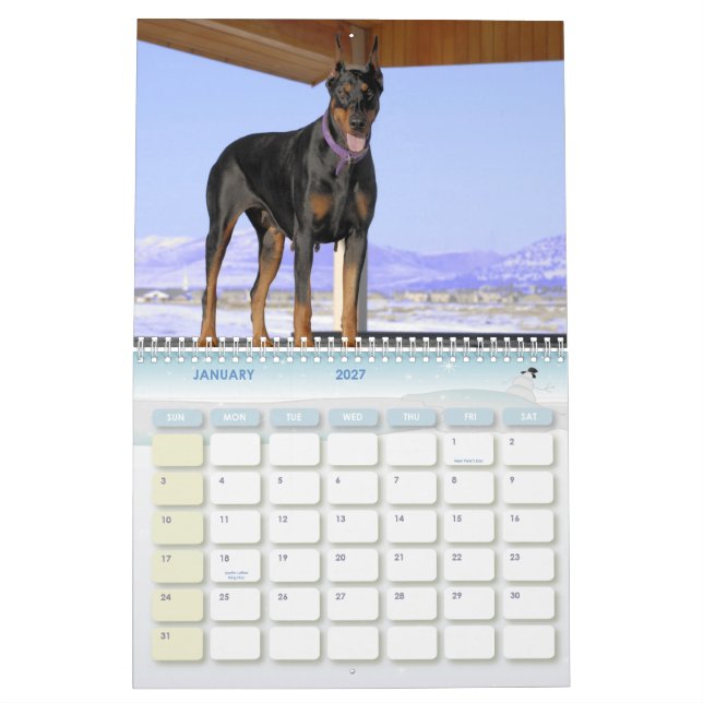 Dobermankalender Kalender (Jan 2027)