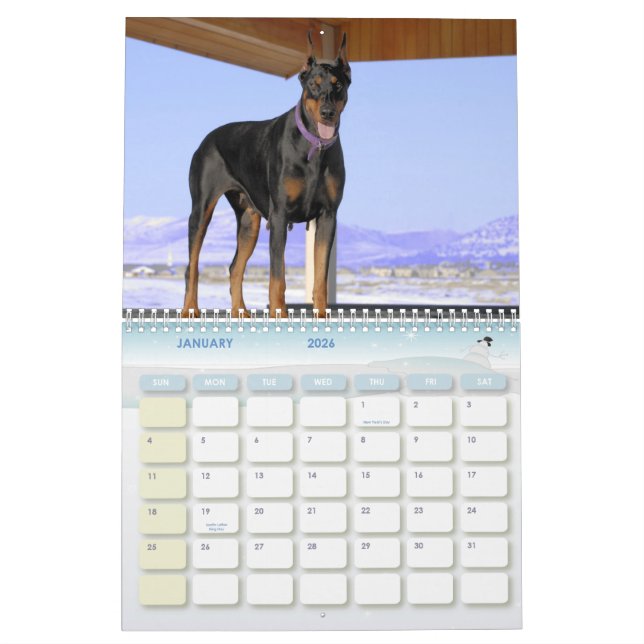 Dobermankalender Kalender (Jan 2026)