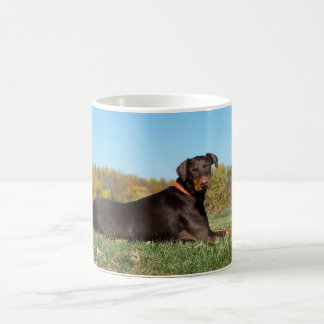 Dobermanmugg Kaffemugg