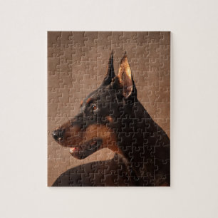 Dobermann - DobermanPinscher Pussel