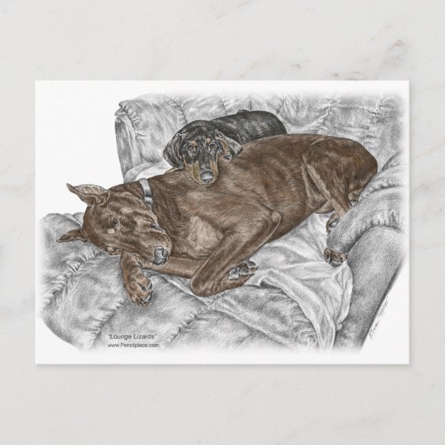 Dobermann Hund och Valp Vykort (Framsida)