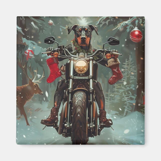 Dobermann hund som kör motorcykel jul magnet (Framsidan)