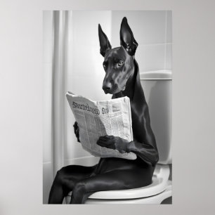 Dobermann på toalett, Tidning, Rolig Badrums Konst Poster