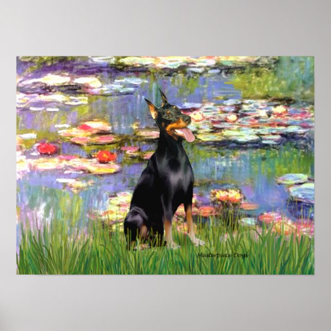 Dobermann Pinscher1 - Näckrosor 2 Poster (Framsidan)