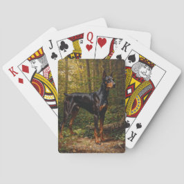 Dobermann Pinscher Casinokort