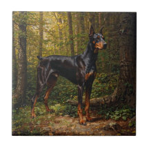 Dobermann Pinscher