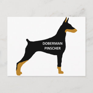 Dobermann Pinscher namn färg silo svart Vykort