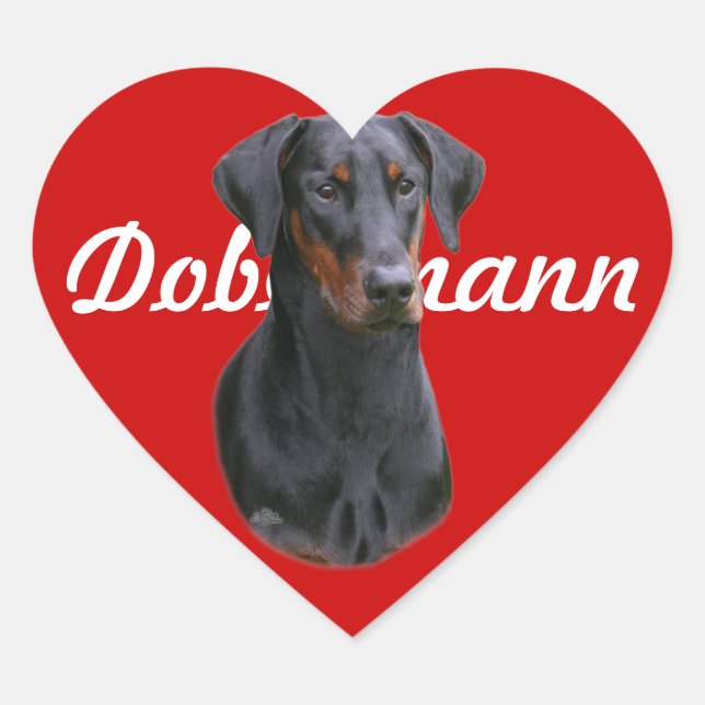 Dobermann Pinscher Natural ear Sticker Hjärtformat Klistermärke (Framsida)