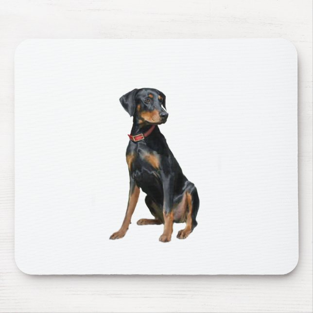 Dobermann Pinscher (naturlig) Musmatta (Framsidan)