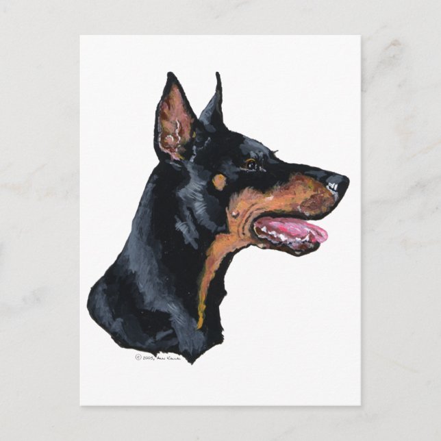 Dobermann Pinscher-profil Vykort (Framsida)