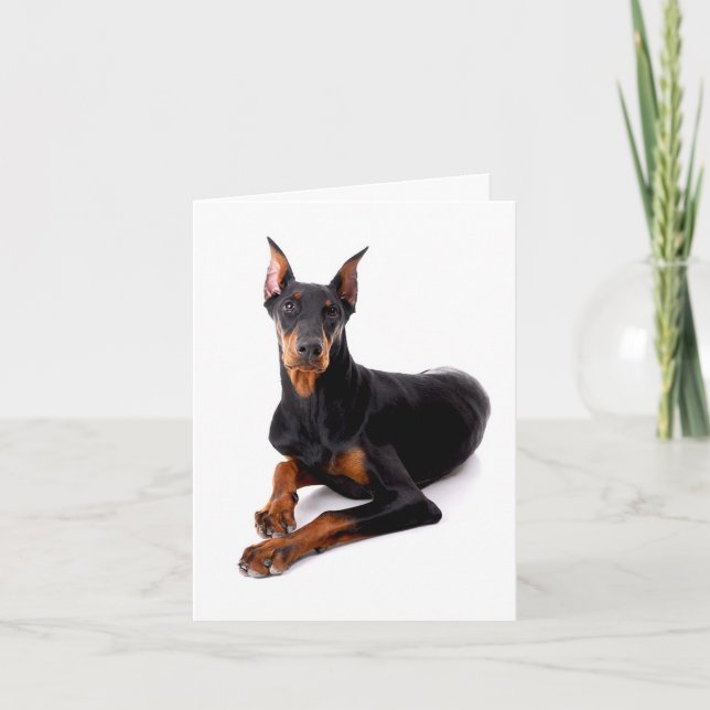 Dobermann Pinscher Valp Hund Blank Notekort / Kort (Framsida)