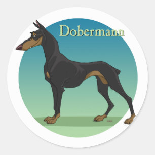 dobermann runt klistermärke