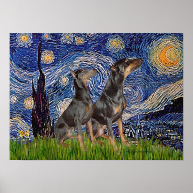 Dobermanpar - Stjärnkväll Poster (Framsidan)