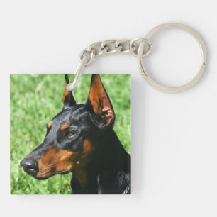 DobermanPinscher