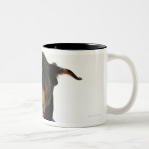 DobermanPinscher 2 Två-Tonad Mugg