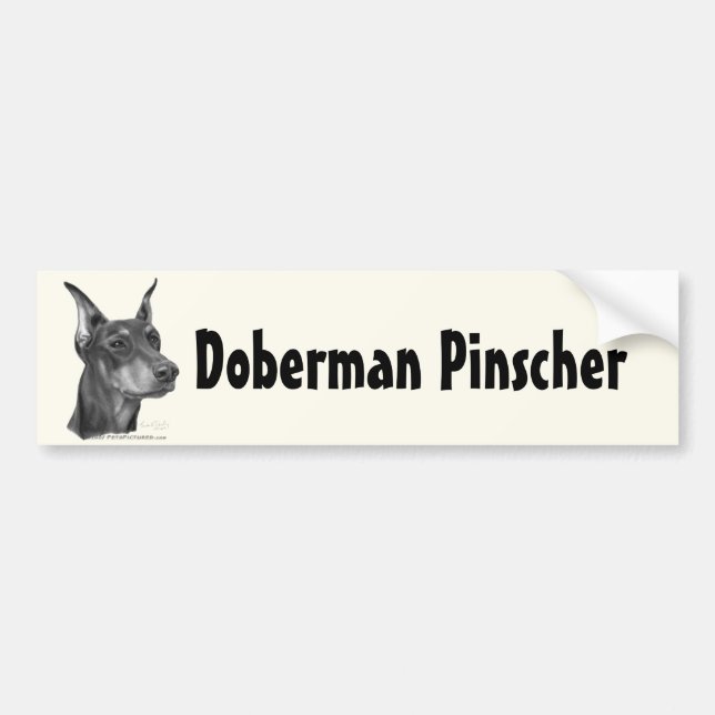DobermanPinscher Bildekal (Framsidan)