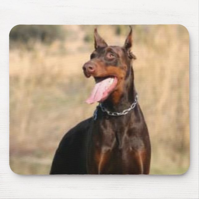 DobermanPinscher Mousepad Musmatta (Framsidan)