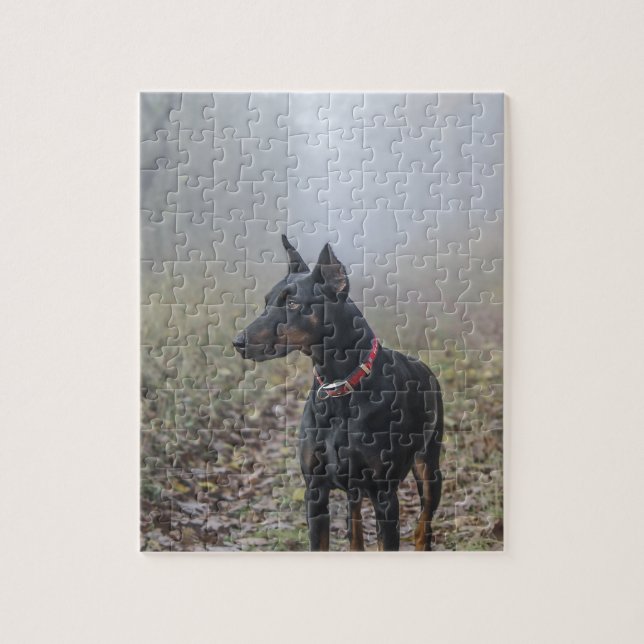 DobermanPinscher Pussel (Vertikal)