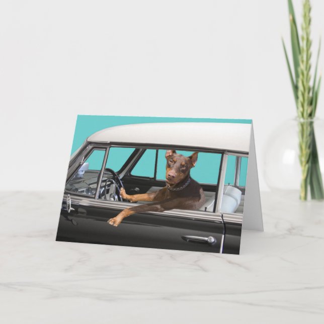 DobermanPinscher som kör klassikerbilen Kort (Framsida)