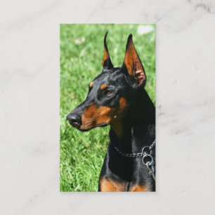 DobermanPinschervisitkortar Visitkort