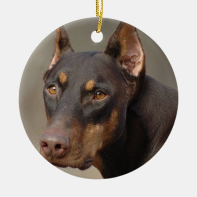 Dobermanprydnad Julgransprydnad Keramik (Framsidan)