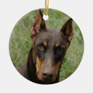 Dobermans Julgransprydnad Keramik