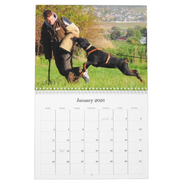 Dobermanskyddskalender Kalender (Jan 2026)