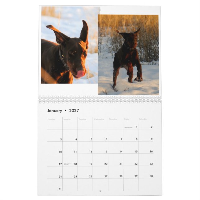 Dobermanvalpkalender 2012 kalender (Jan 2027)