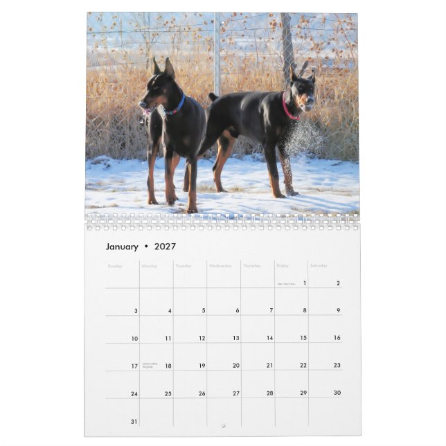 Dobermanvalpkalender 2013 kalender (Jan 2027)