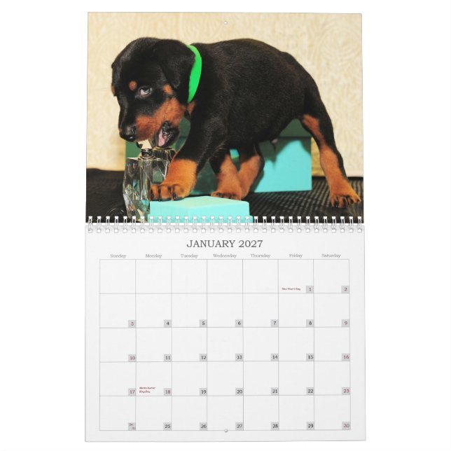 Dobermanvalpkalender 2013 kalender (Jan 2027)