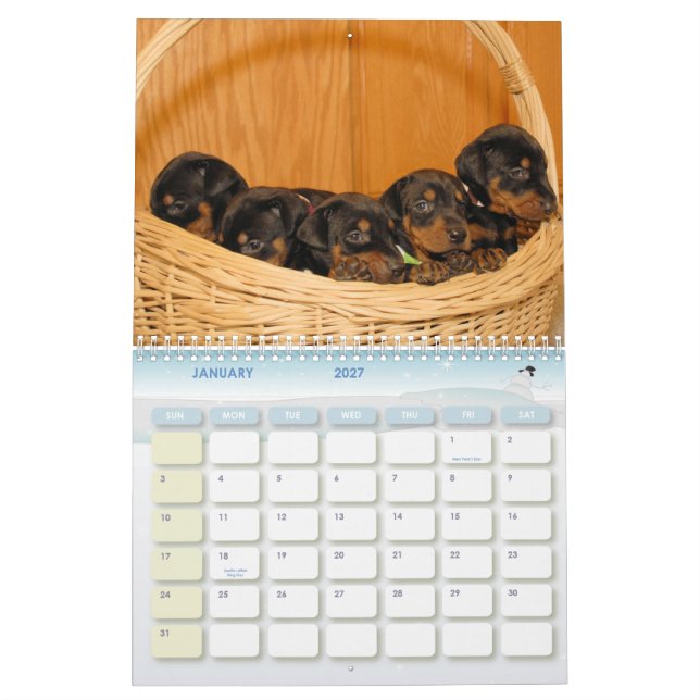 Dobermanvalpkalender Kalender (Jan 2027)