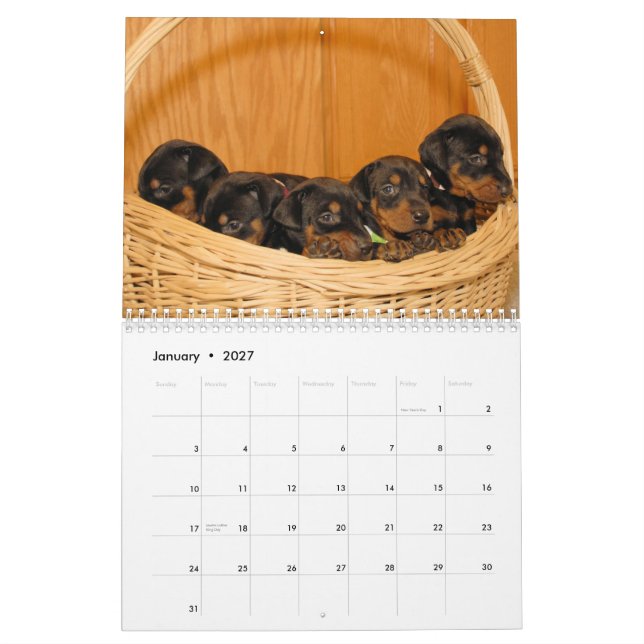 Dobermanvalpkalendern uppdaterade 2012 kalender (Jan 2027)