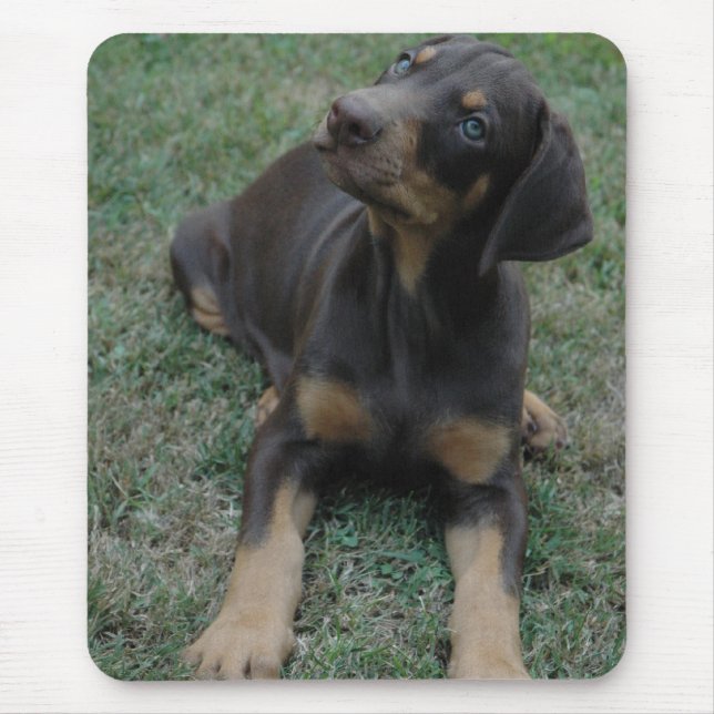 Dobermanvalpmousepad Musmatta (Framsidan)
