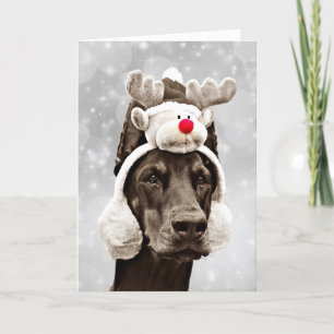 Dobermanvintergod jul helgkort