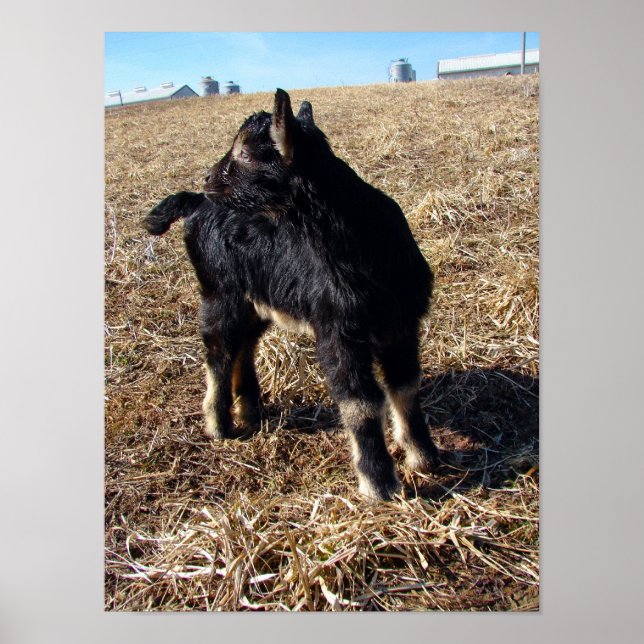 Dobie Poster (Framsidan)