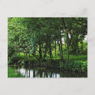 Dock Feeder Canal, Bute Park, Cardiff, Wales. Vykort