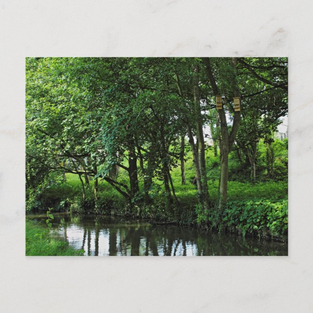 Dock Feeder Canal, Bute Park, Cardiff, Wales. Vykort (Framsida)