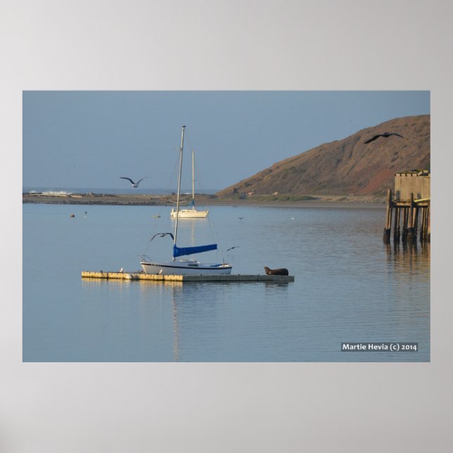 Dock Seal Wakes Poster (Framsidan)