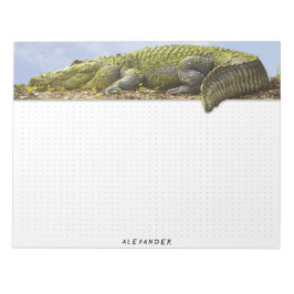 Dockad - Naturfotografistorgator, panoramisk Anteckningsblock