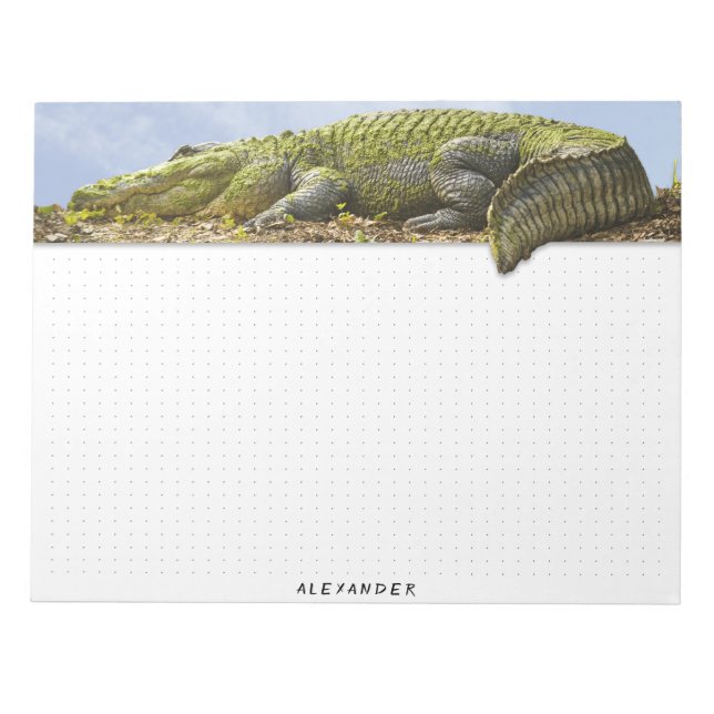 Dockad - Naturfotografistorgator, panoramisk Anteckningsblock (Framsida)