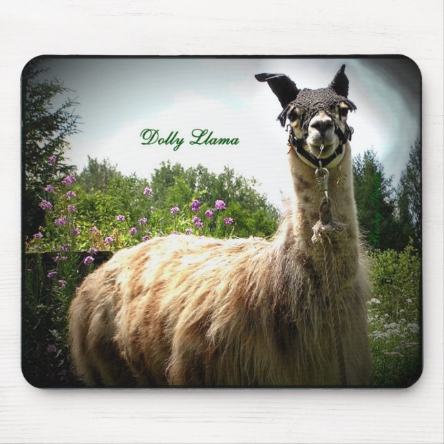 DockaLlama Mousepad Musmatta (Framsidan)