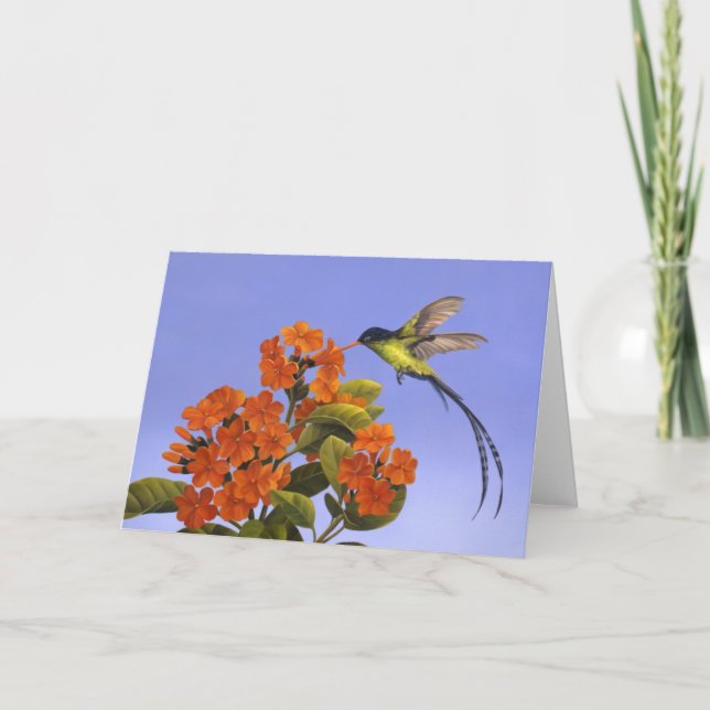 Doctorbird - medborgarefågel av Jamaica Kort (Framsida)