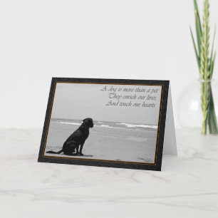 Död av ett husdjur, hunddöd, ledsen, hund tittar kort