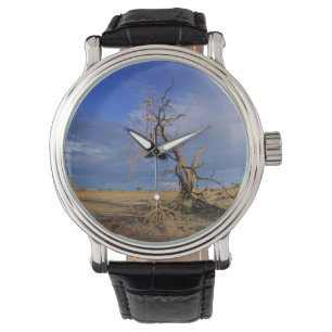 Död kamelthorn (Acacia Erioloba) Träd Armbandsur