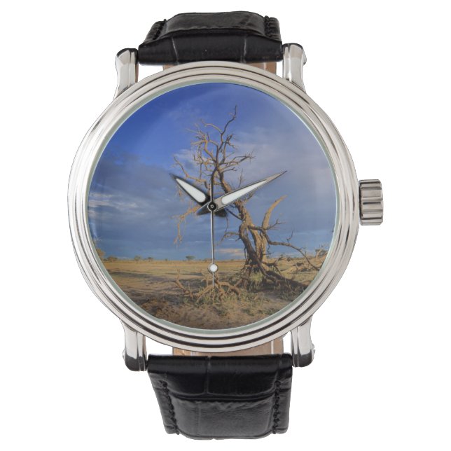 Död kamelthorn (Acacia Erioloba) Träd Armbandsur (Framsida)