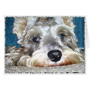 DOD: Mini German Schnauzer So Cute Hälsningskort