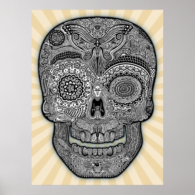 DoD Sk511-bw Poster (Framsidan)