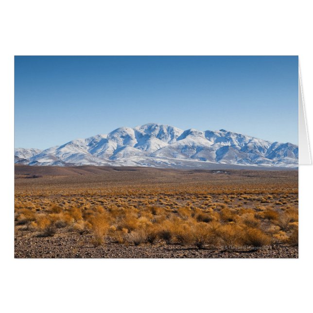 Död Valley 2 California USA Hälsningskort (Framsidan Horizontal)