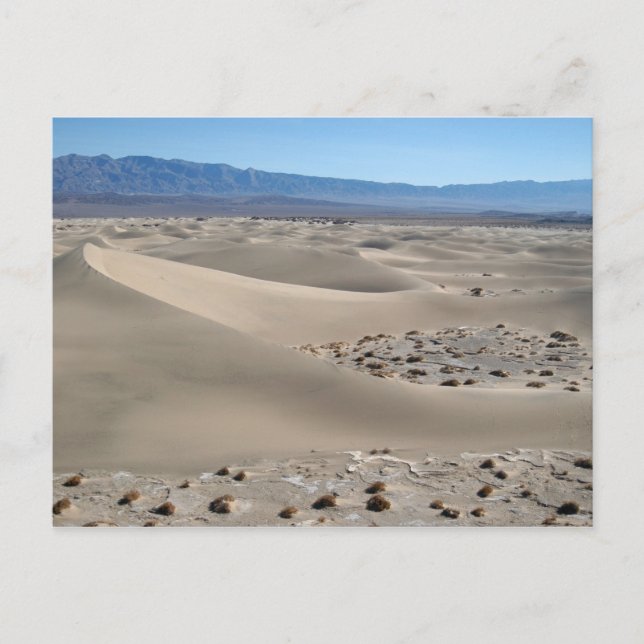 Död Valley Dunes 2 Vykort (Framsida)