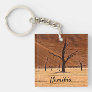 Död Vlei Namibia liggande foto med text